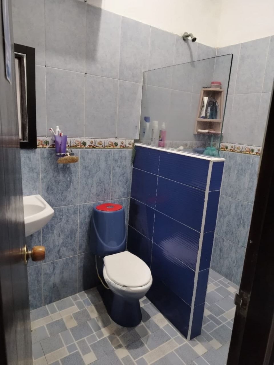 MIRACAMPESTRE - Imagen 8